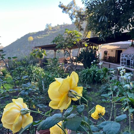 Finca Los Arcos Del Laurel 모야 외부 사진