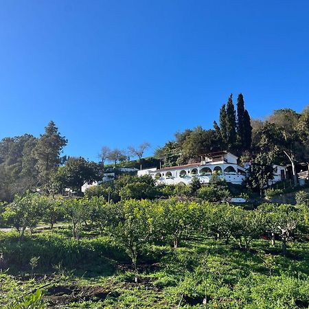 Finca Los Arcos Del Laurel 모야 외부 사진