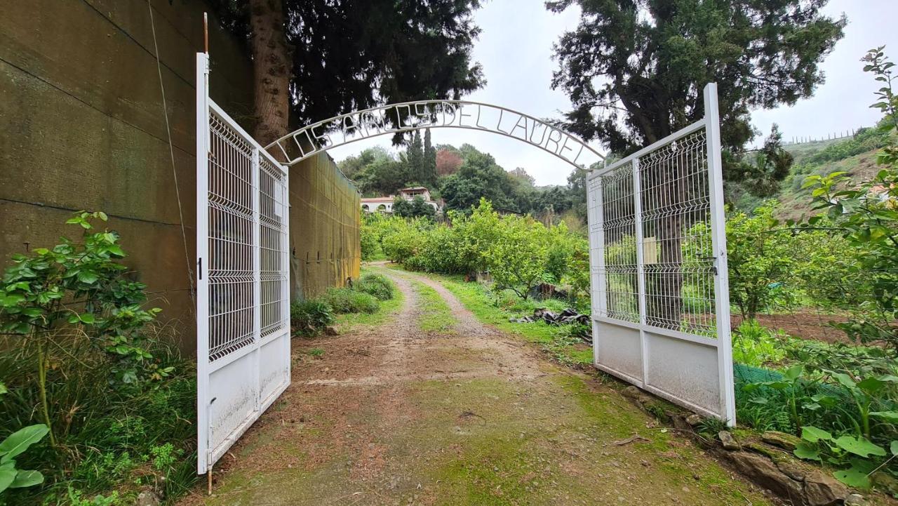 Finca Los Arcos Del Laurel 모야 외부 사진