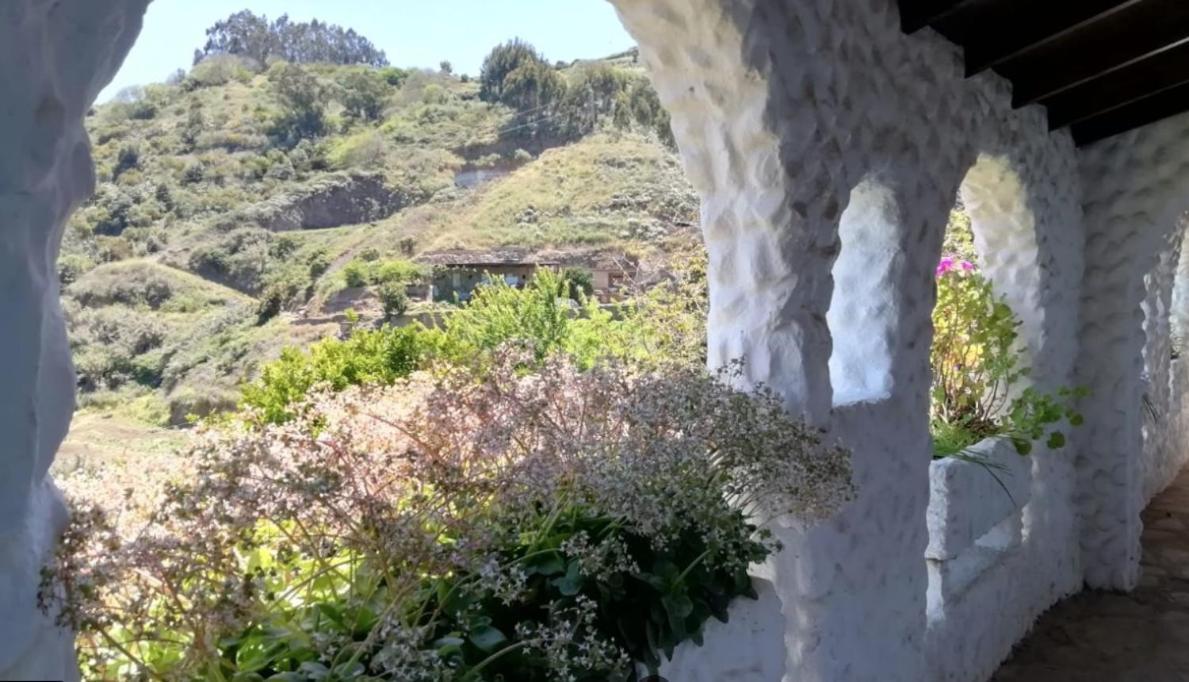 Finca Los Arcos Del Laurel 모야 외부 사진