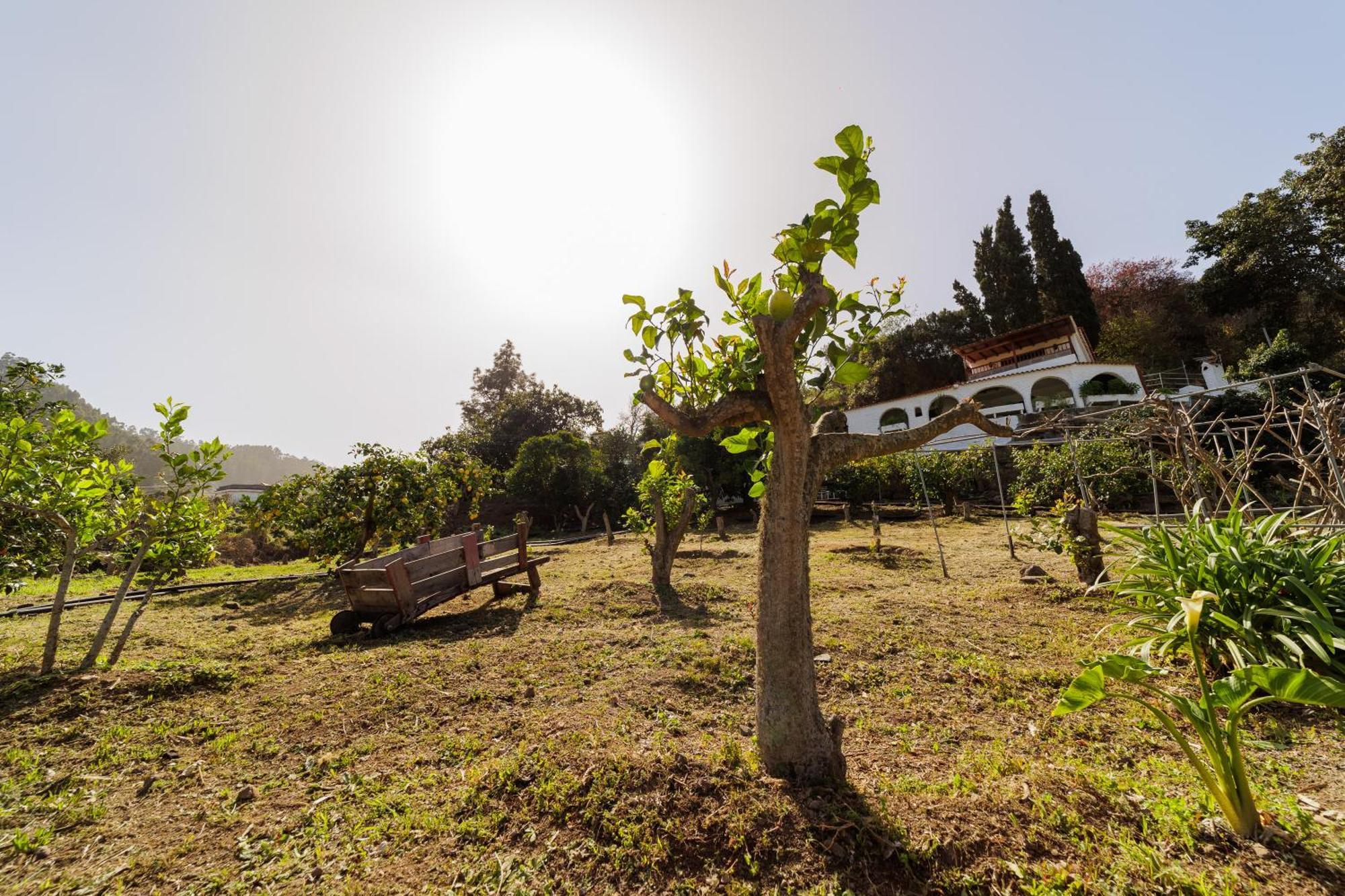 Finca Los Arcos Del Laurel 모야 외부 사진