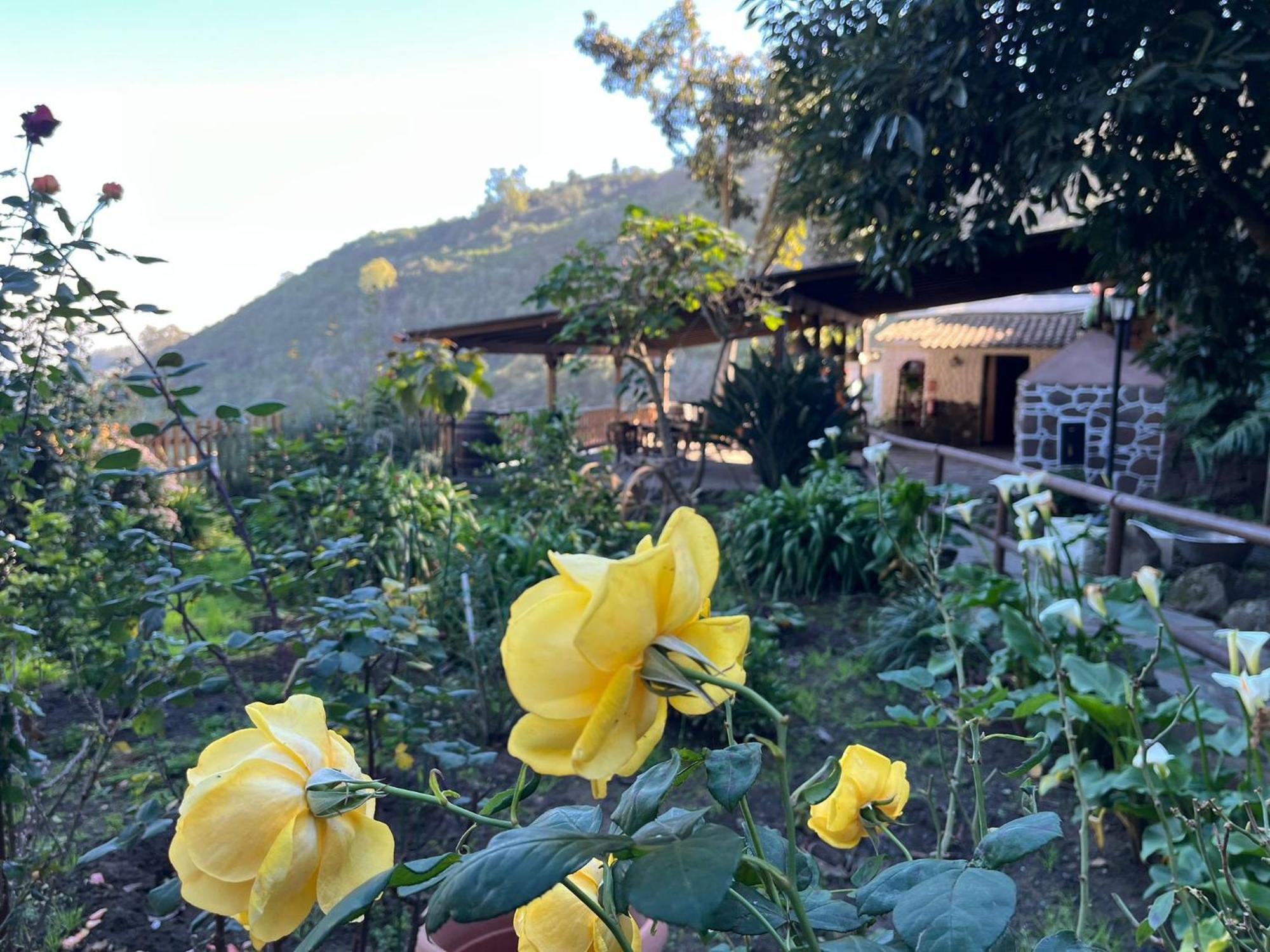 Finca Los Arcos Del Laurel 모야 외부 사진