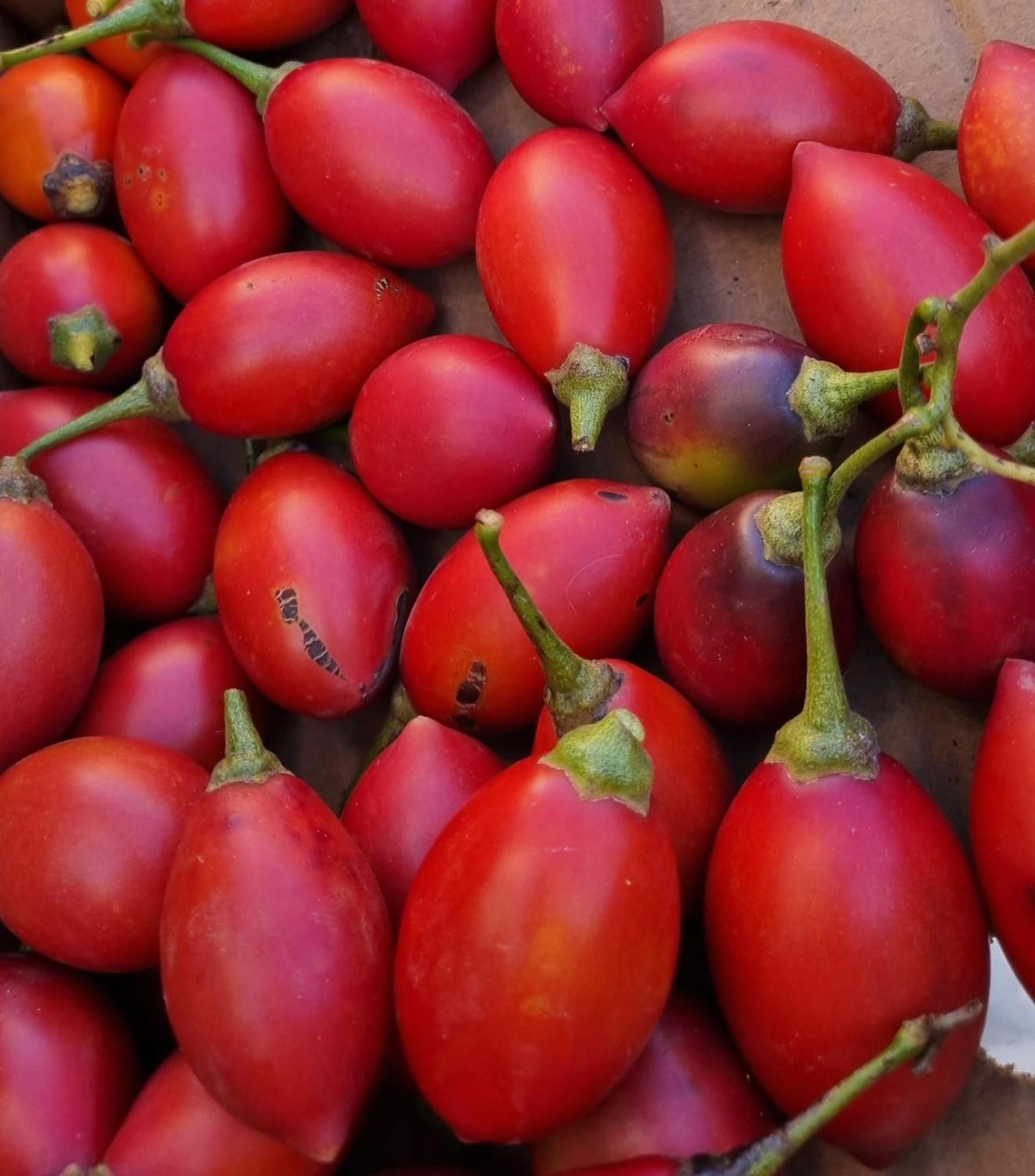 Finca Los Arcos Del Laurel 모야 외부 사진