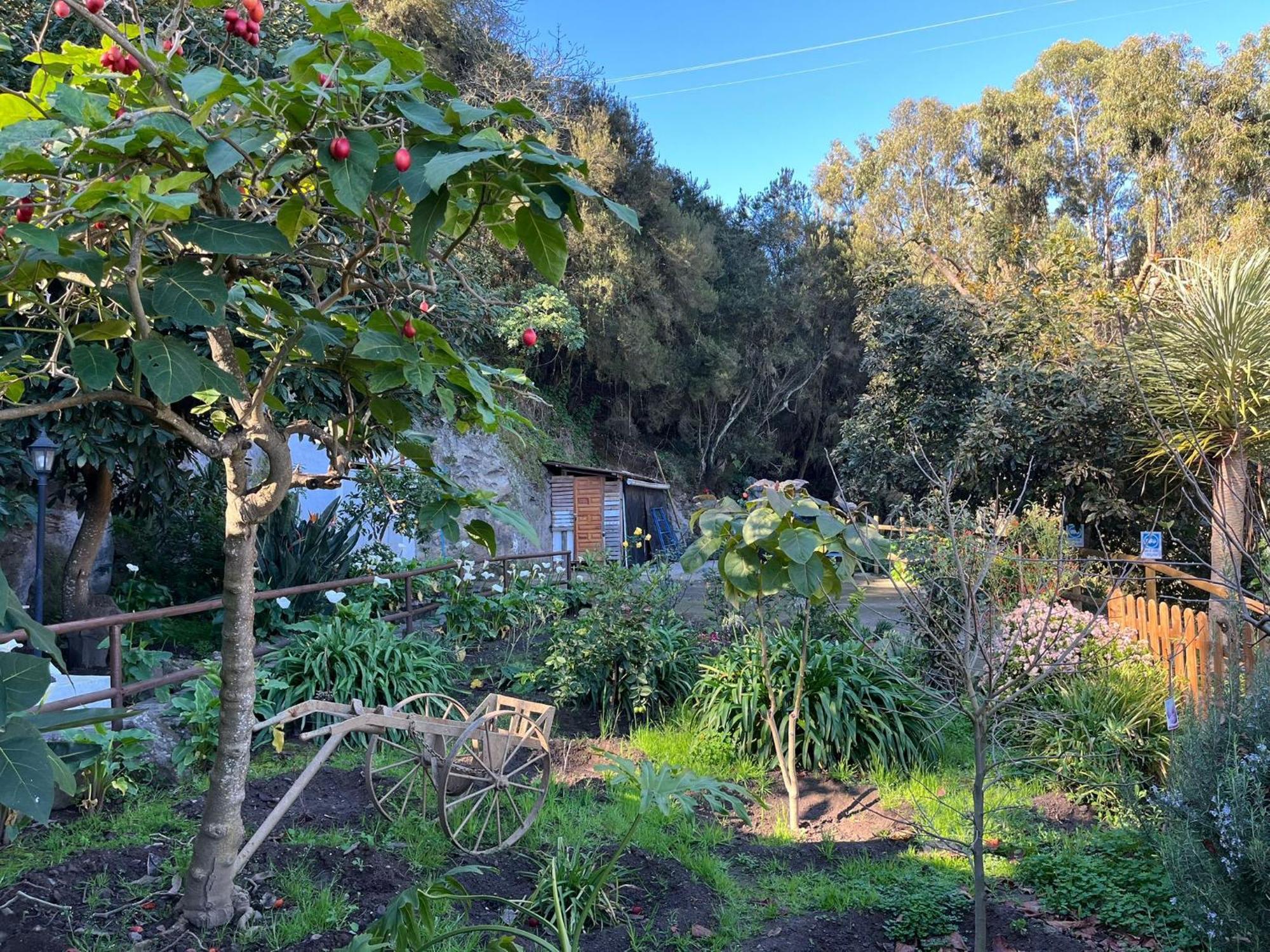 Finca Los Arcos Del Laurel 모야 외부 사진