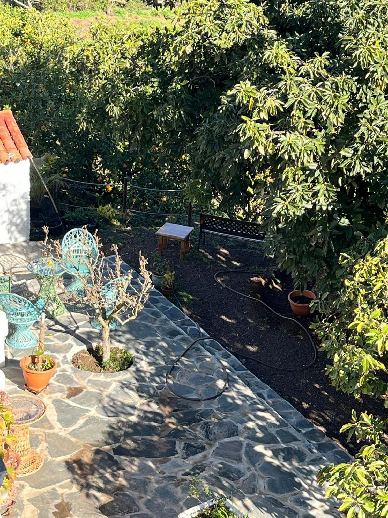 Finca Los Arcos Del Laurel 모야 외부 사진