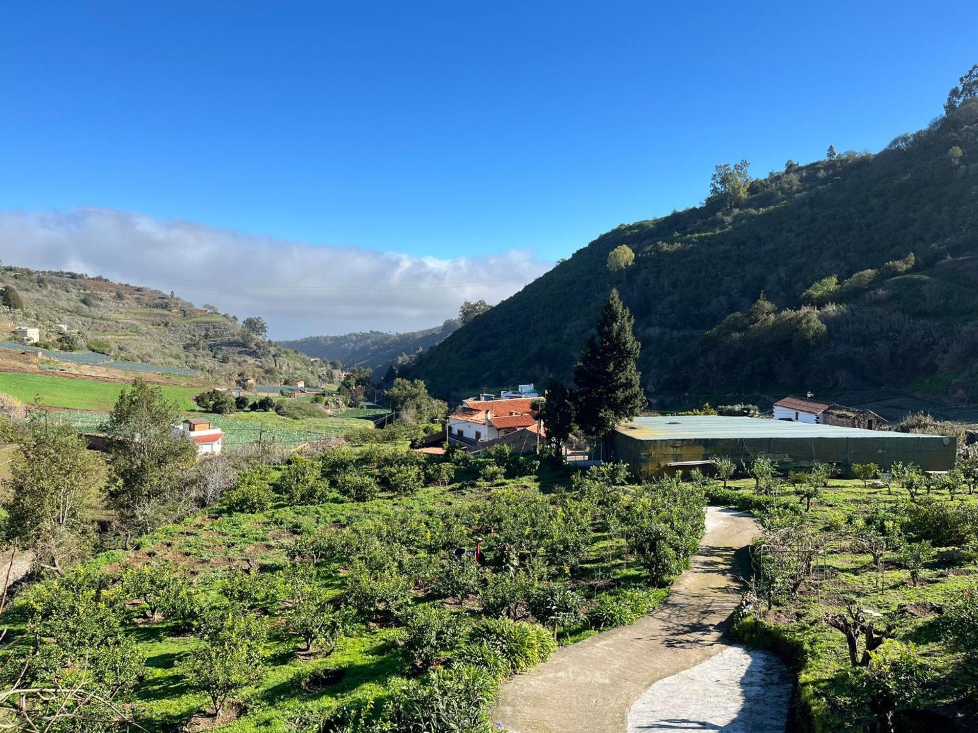 Finca Los Arcos Del Laurel 모야 외부 사진