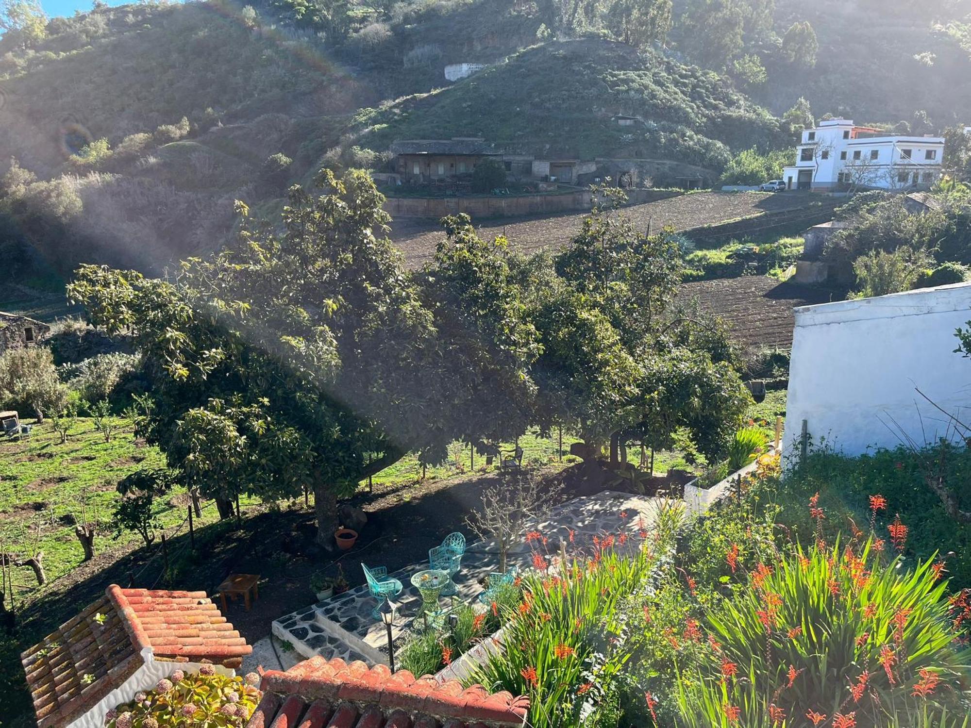 Finca Los Arcos Del Laurel 모야 외부 사진