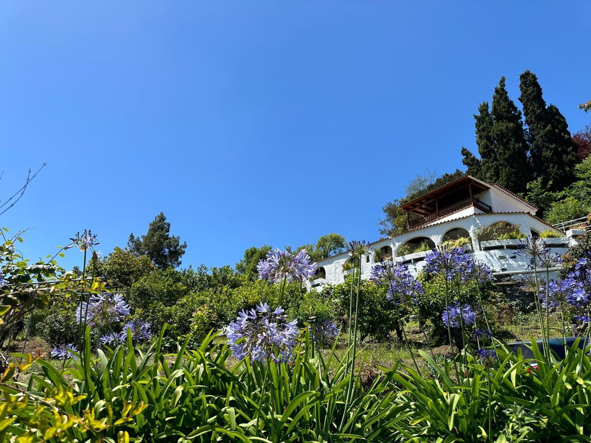 Finca Los Arcos Del Laurel 모야 외부 사진